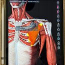 빌리핏 PT 스튜디오 | 태릉 PT, 빌리핏 PT&amp;PILA 스튜디오 2차 방문 솔직 후기