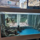 엄니밥집 이미지