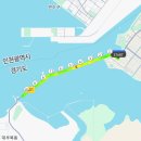 싸움의고수시흥 | 마라톤 참가자의 2025 시흥하프마라톤 ✔️하프코스✔️ 완주한 후기 / 셔틀버스, 코스후기, 간식 등 모든...