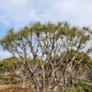 금반농장 이미지