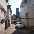 성일장 이미지