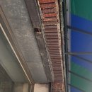 약전상사 이미지