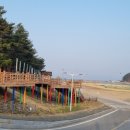 노음교차로 네이버블로그