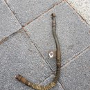 무등카센타 이미지