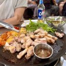 바다위올레하우스 | 2박 3일 뚜벅이 여행🍊(천제연 폭포, 제주 공감 게스트 하우스, 올레 시장, 중문 색달 해변, 주상절리대)