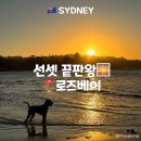 로즈비치 | 시드니 선셋 끝판왕! 로즈베이 비치 선셋 + 페리 야경 꿀팁 총정리