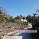 반지공인중개사사무소 이미지