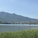 그림정원 이미지