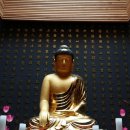 탄허기념박물관 이미지