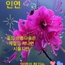 정(情) - 사랑과 이미지