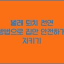 천연 이미지