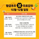 황금부동산 앞 이미지