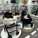 토미펫샵 | 스타필드 하남 몰리스펫샵 강아지 유모차 구경 후기 (개모차 모델·가격 정보 + 강아지 용품 일부 세일...