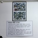 배말칼국수김밥제부도점 | [제부도-애견동반] 내돈내산_배말칼국수김밥 제부도점 배말칼국수 맛집 후기