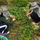 텃밭민박 이미지