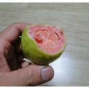 헤리레인