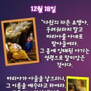 2024-12-18 대림절12월 18일 ＜예수님께서는 다윗의 자손 요셉과 약혼한 마리아에게서 탄생하시리라.＞ 이미지