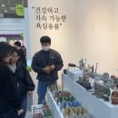 더메종 이미지