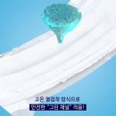 그린밤보 네이버블로그