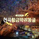 천곡황금박쥐동굴 | 동해 천곡황금박쥐동굴 후기 소요시간 입장료 주차 묵호 가볼만한곳