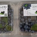 메이플팜 이미지