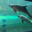 호수로 803번길 이미지