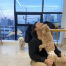 놀면뭐하개 | 하루일상글_놀면뭐하개에서 나무찡이랑 데이투