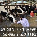 영국목장 | 보령 아이체험 추천 우유창고 체험장 4살 아이 목장견학 건초주기 후기