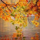 ☆ 웬지~~~! 이미지