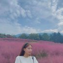 [실사용후기] 경북e누리 칠곡 센트로관광호텔+가산수피아