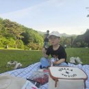 사명대사공원 잔디광장 이미지