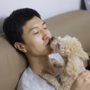 뽀뽑뽀 이미지