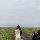 Wedding 11. 제주웨딩스냅 한폭 원진 작가 촬영하고온 따끈따끈 후기