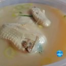 일산정삼계탕