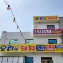 오리면 돼지 이미지