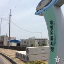 동일리-6 이미지