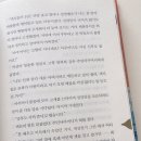 홍주신발 이미지