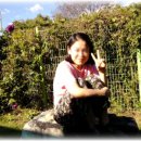 가을이야기치킨 이미지