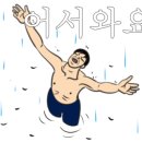 더나은꽃집