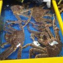 거북수산 - 동대문구 고산자로34길 41 | 거북수산