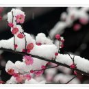 달란트립 이미지