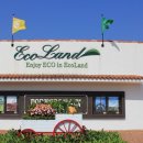 서광자동차랜드 이미지