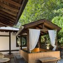 스테이단감 이미지