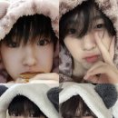 롯데닭갈비