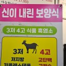 원미흑염소 | 부천시청역맛집 넓고 깔끔한 다래향염소마을에서 흑염소전골 후기