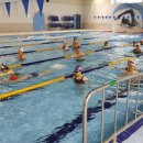 경산수영장 이미지