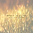 동하축산 | 건설용 수중펌프 임대 한 번에 해결, 신속한 지원 약속!