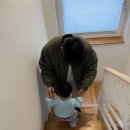 제주애아리 이미지