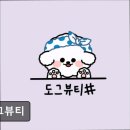 도그뷰티 이미지