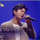 신바다속으로